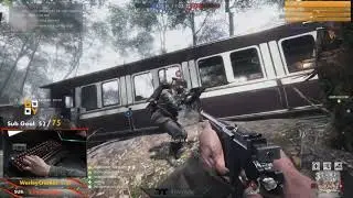Battlefield 1  [Argonne Forest]  M1917 Trench Carbine  84-13