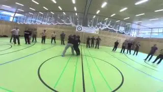 Austria Systema Seminar - Martin Wheeler 2016