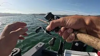 Trolling Jumbo Trout from Lake Berryessa!