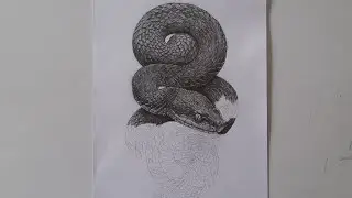 Live Pencil Sketching &ndash; Realistic Snake Drawing 🐍✏️