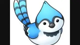 Blue Jay calling sound effect bird sounds 2016