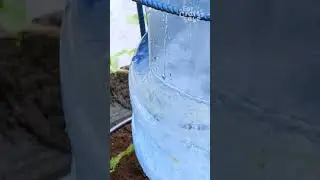 Efficient Garden Watering