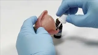 Sterngold Quickline&trade; Reline Material