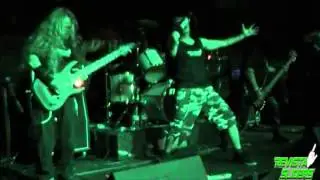 TRANSMETAL 