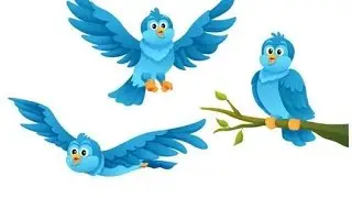 B#vairalvideo #funny Bird spike song  #vairalvideo #funn  