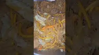 rice noodles with #canton #asiansfoods  #vegetables and #chicken  #shorts