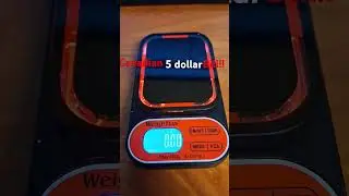 How much does a Canadian 5 dollar bill weight?   #canada #inflation #money #guess #facts #scale #fyp