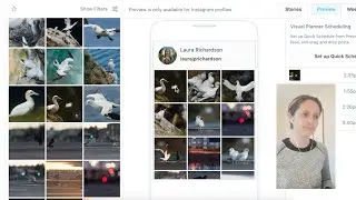 Choosing & Scheduling Instagram Feed Posts for Free with Later