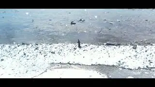 Rohtang Pass Pre Wedding Trailer Shooting