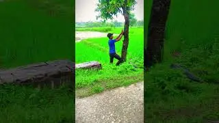 top creative photography ideas 📸 with phone 📲💡 #photography #creative #editing #shorts #sort
