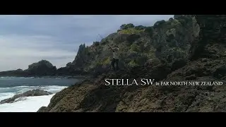 SHIMANO STELLA SWC 2019 | INFINITE POWER