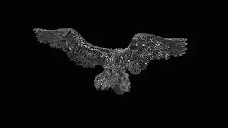 Kartal Model