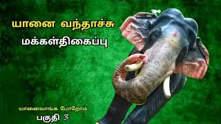 யானை வந்தாச்சு .மக்கள் திகைப்பு