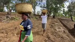 Video NREP