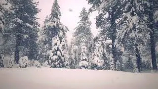 One Hour of Authentic 1920s Jazz and Dance Band Recordings with Real Gentle Snowfall