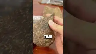 Как образуется агаровое дерево?