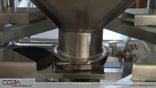 CORA TIP 0 SYSTEM