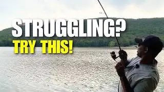 Finesse Fishing Made Simple: How to Catch More Bass in Tough Conditions