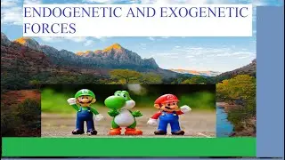 ENDOGENETIC AND EXOGENETIC FORCES
