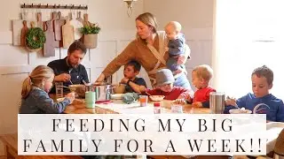LARGE Family Meals on A Budget!!