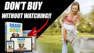 BRAIN TRAINING FOR DOGS - REVIEW 2022 - 【THE TRUTH!!】Brain Training For Dogs Review