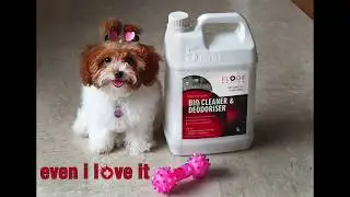 BIO CLEANER & DEODORISER  Hygiene TEST