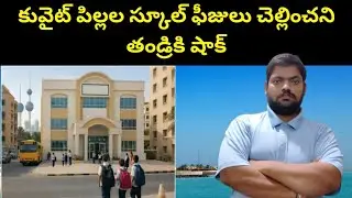 Kuwait Children's School Fees || Kuwait Private School Fees || STV Telugu News