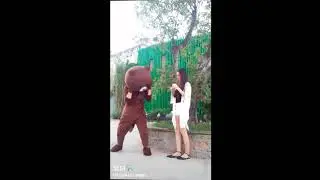 Funny Videos in Tik Tok - Brown bear fun