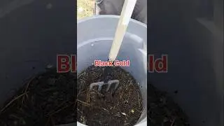 Trasformare il compost nel modo pi&ugrave; semplice!