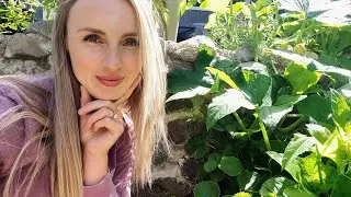 Planning my FALL GARDEN // Garden Tour