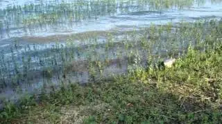 Sportsman Lake