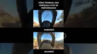360ebike - SHORTS C&oacute;mo trabaja una horquilla FOX 36 Performance