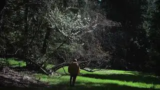 🌥️ Lost in the Thought Clouds (OFFICIAL MUSIC VIDEO) #song #poetry #griefislove
