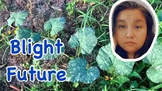 The Future Is Blight / Save The Cantaloupe Patch