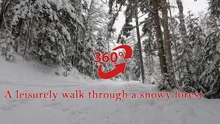 360&deg; Walking through a snowy forest during a snowfall | 4K | ASMR | Virtual Walking Tour