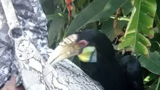 MOV02142