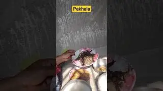 odiankara priya khadya pakhala #minivlog #cookingchannel