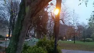 Best place in The Hague - Royal Garden of Palace Noordiende #hague #netherlands #nature 