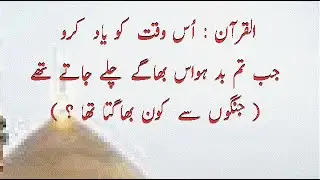 اسلامی جنگوں کا ہیرو کون اور جنگوں سے کون کون بھاگتا تھا ؟ علامہ وزیر حسین ترابی