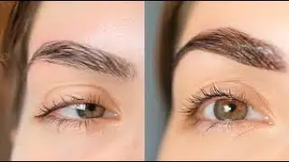 HOW TO GROOM, SHAPE & MAINTAIN EYEBROWS AT HOME BEGINNER FRIENDLY l New Year 2025
