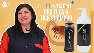 Show Tech+ Pro Flea & Tick pet shampoo | TRANSGROOM
