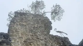 Ruinentour und Rauheisenweg bis Kreuzkogelkapelle