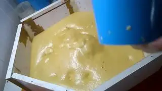 Test mousse expansive