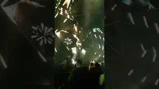 Pig & Dan Far Away 2018