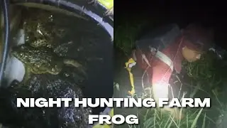 Frog Dinner