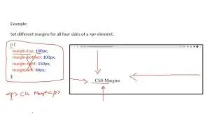 Css Margins