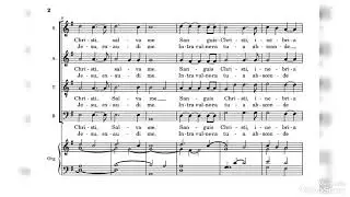 Anima #Christi. Canto di #comunione. #Liturgia 
