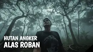 NGERI! NEKAD MASUK HUTAN YANG BERDIRI DIATAS TUMBAL MANUSIA - ALAS ROBAN
