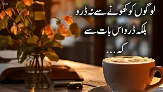 Beautiful Quotes in Urdu l Islamic Motivational Quotes l Zauq