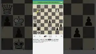 Chigorin Memorial 🏆
